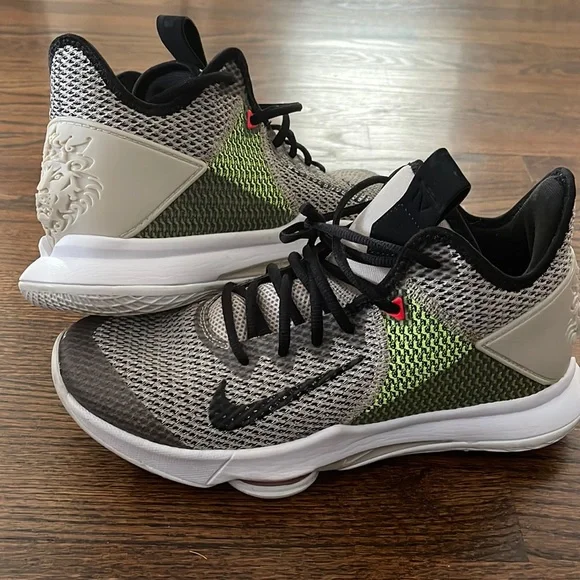 Lebrons with uppermost lion on back